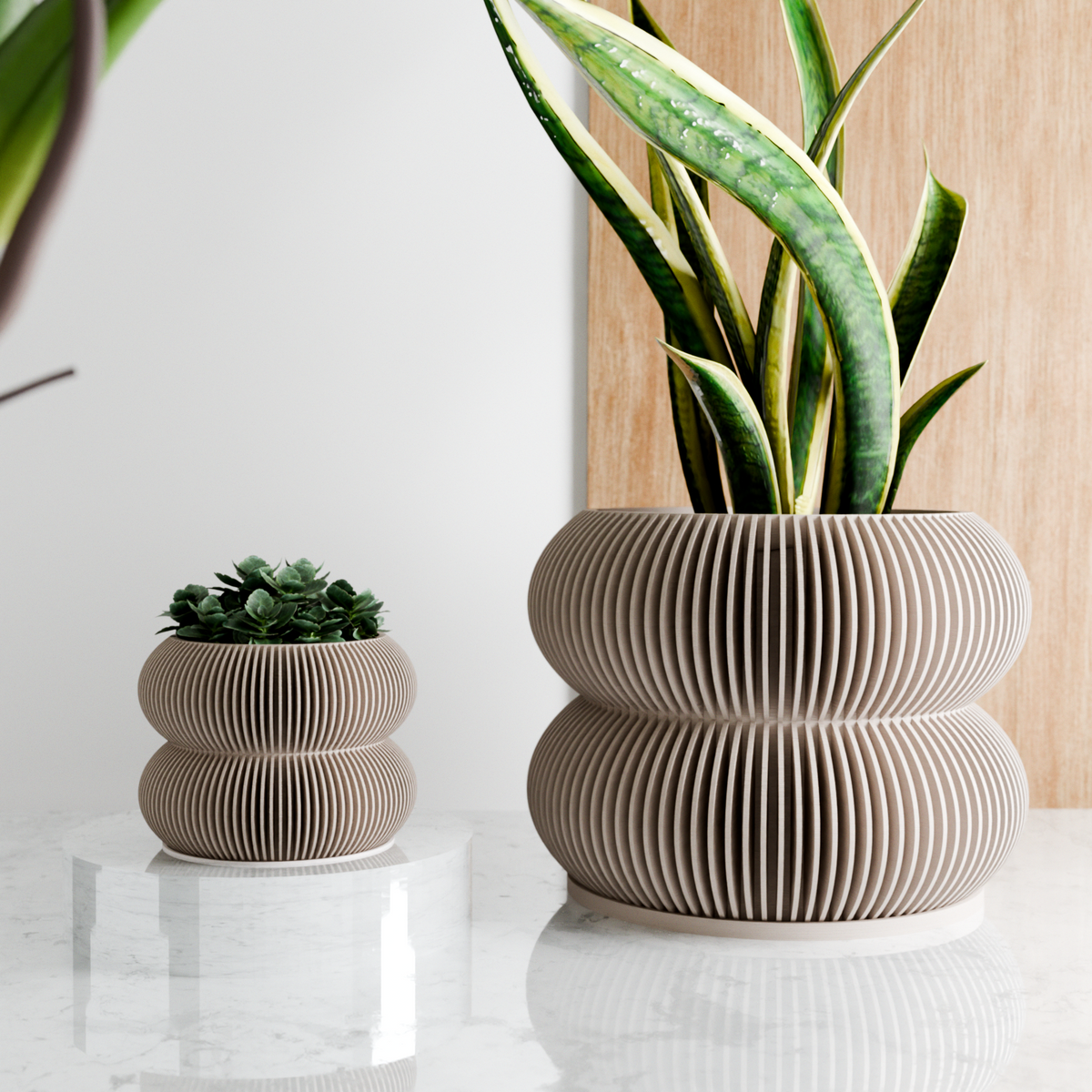 Double BUBBLES Planter