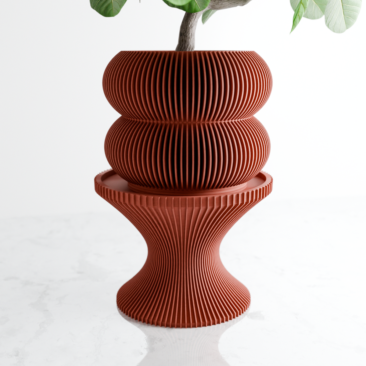Double BUBBLES Planter
